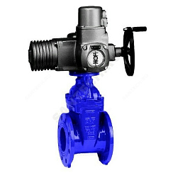 Задвижка чугун 15/42 обрезиненный клин Ду 250 Ру10 фл с эл/приводом Auma NORM AVK купить в интернет-магазине инженерного оборудования в Санкт-Петербурге
